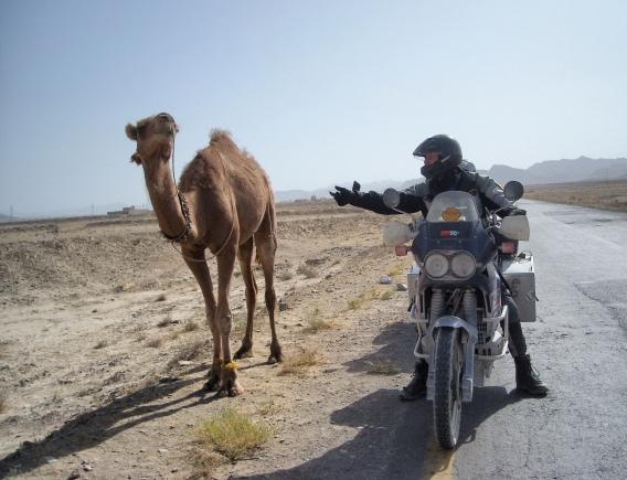 camel encounters.JPG